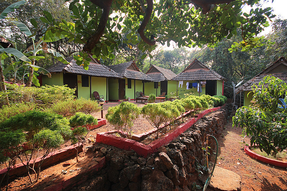 Hostel Curlies Zulu Land Anjuna Zewnętrze zdjęcie