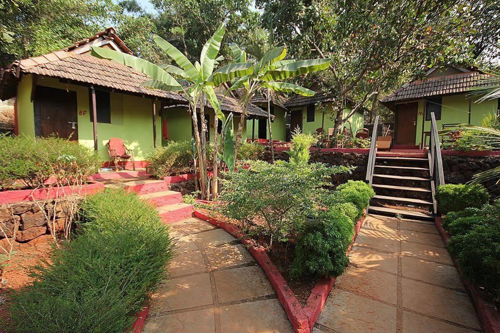 Hostel Curlies Zulu Land Anjuna Zewnętrze zdjęcie
